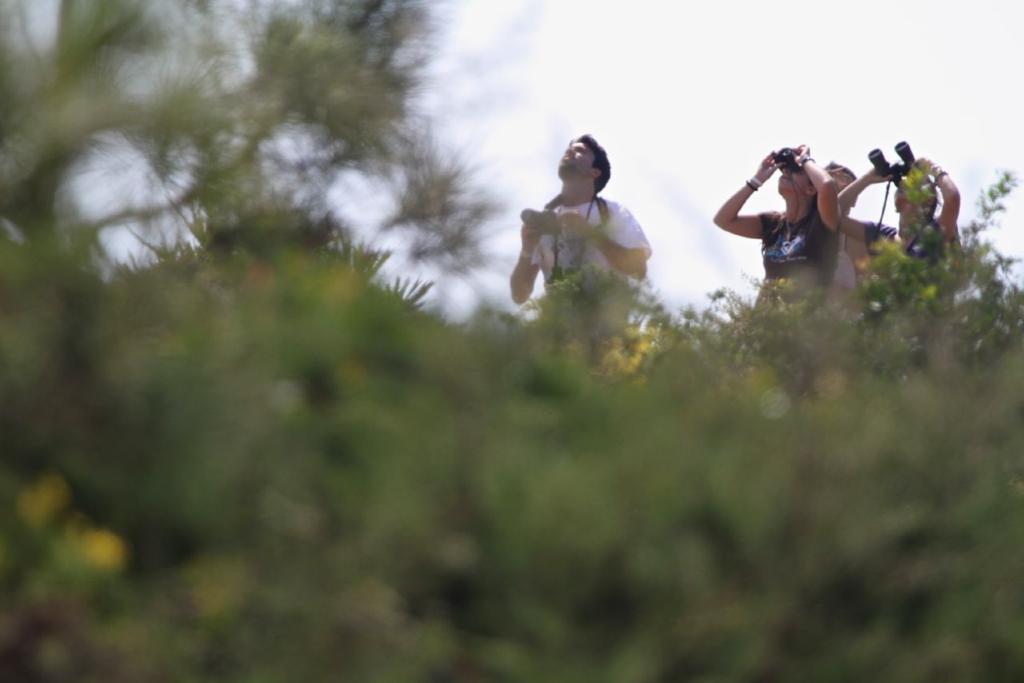 Pure Flor De Esteva วีลา ดู บิสโป ภายนอก รูปภาพ